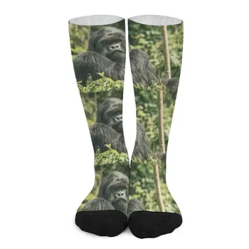 Запазване на горилите Чорапи с дивата планинска горила, мъжки стаи за смешни чорапи, Мъжки чорапи happy socks