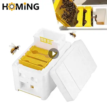 Кутия за отглеждане на пчелните на матката, Кутия за чифтосване на Пчелите, Кутия за пчелен кошер, Кутия за опрашване на градина, кутия за развъждане на пчели, Обзавеждане за пчеларството