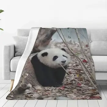Одеало за животните с Пандой Хуахуа, Меки Плюшени Фланелен Одеяла със Защита от Търкалянето, за Дивана в Спалнята